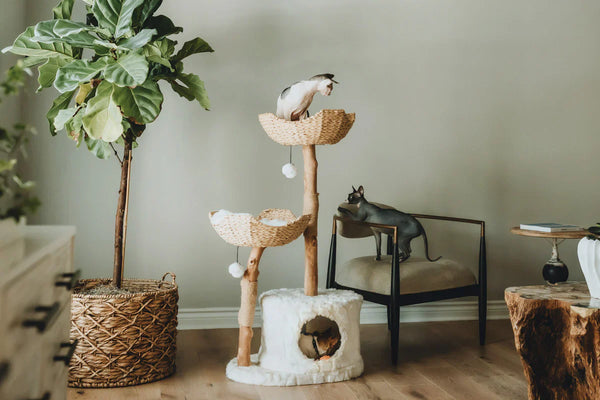 The Ultimate Guide to Choosing the Perfect Cat Tree